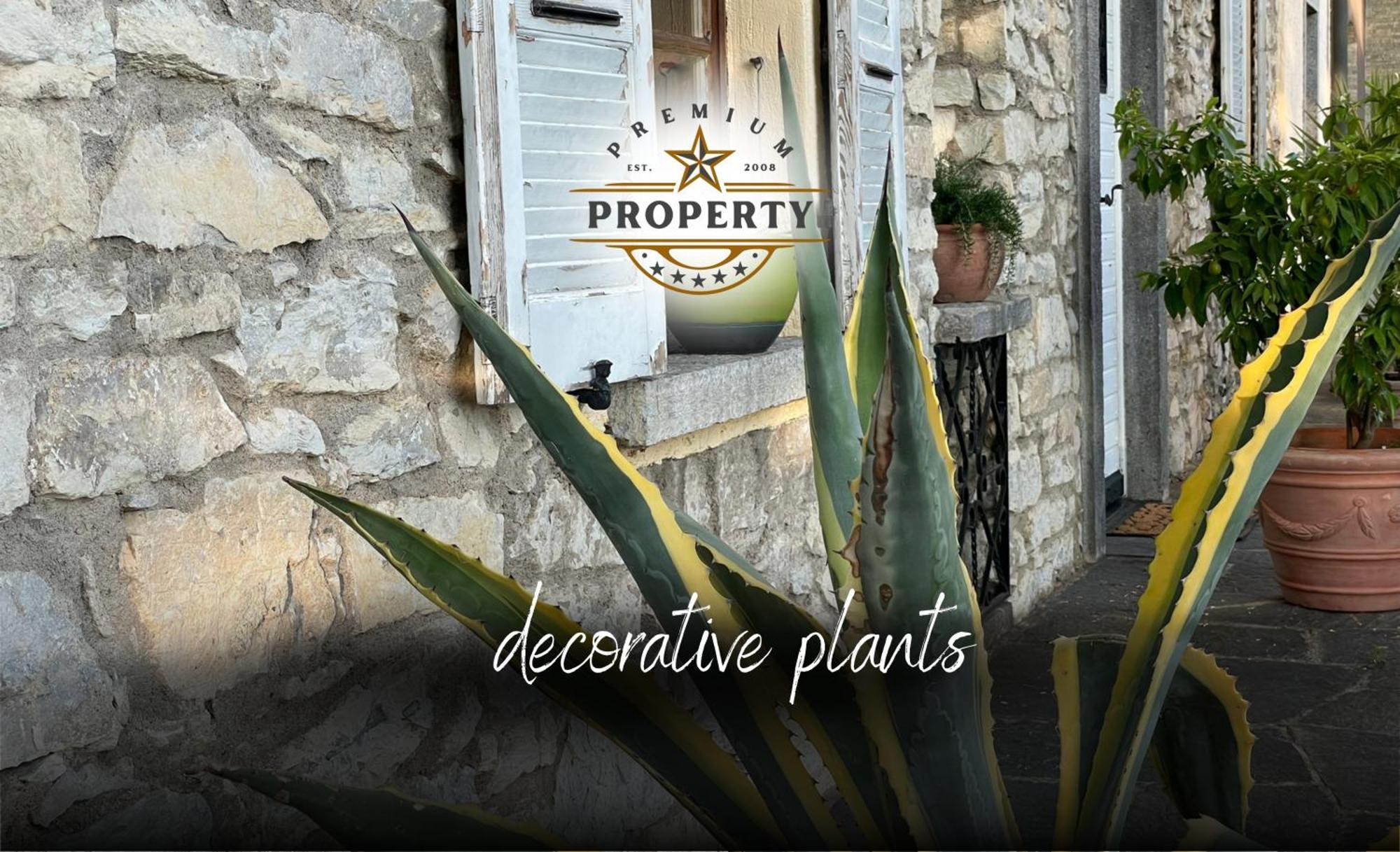Magnificent Sunstone House, Private Parking, Bbq Area, Kids Toys, Near Como Lake I Villa Dei Leoni Morbio Inferiore 외부 사진